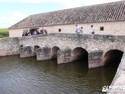 Tablas de Daimiel - Senderismo básico;rutas en madrid senderismo;belen buitrago